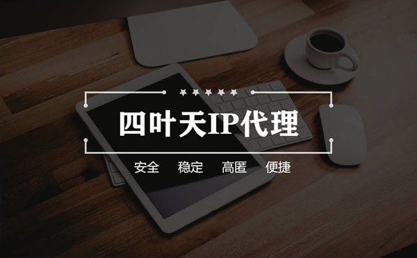 【滕州代理IP】如何快速搭建代理IP？怎么检查代理的效果？